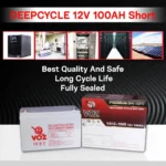 Baterai VOZ 12V 100AH - VA12-100 3
